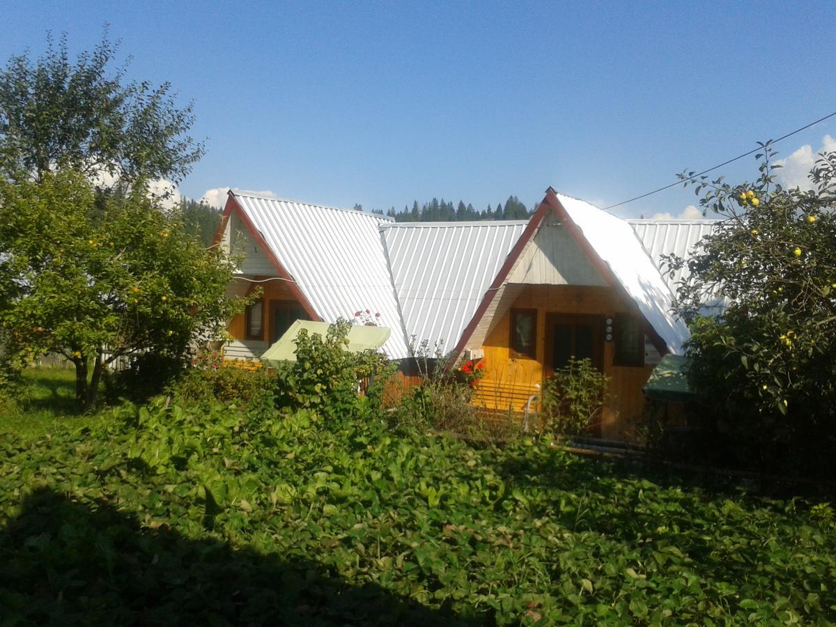 Casa Florea Poiana Stampei Zewnętrze zdjęcie