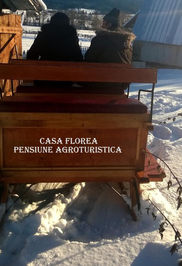 Casa Florea Poiana Stampei Zewnętrze zdjęcie
