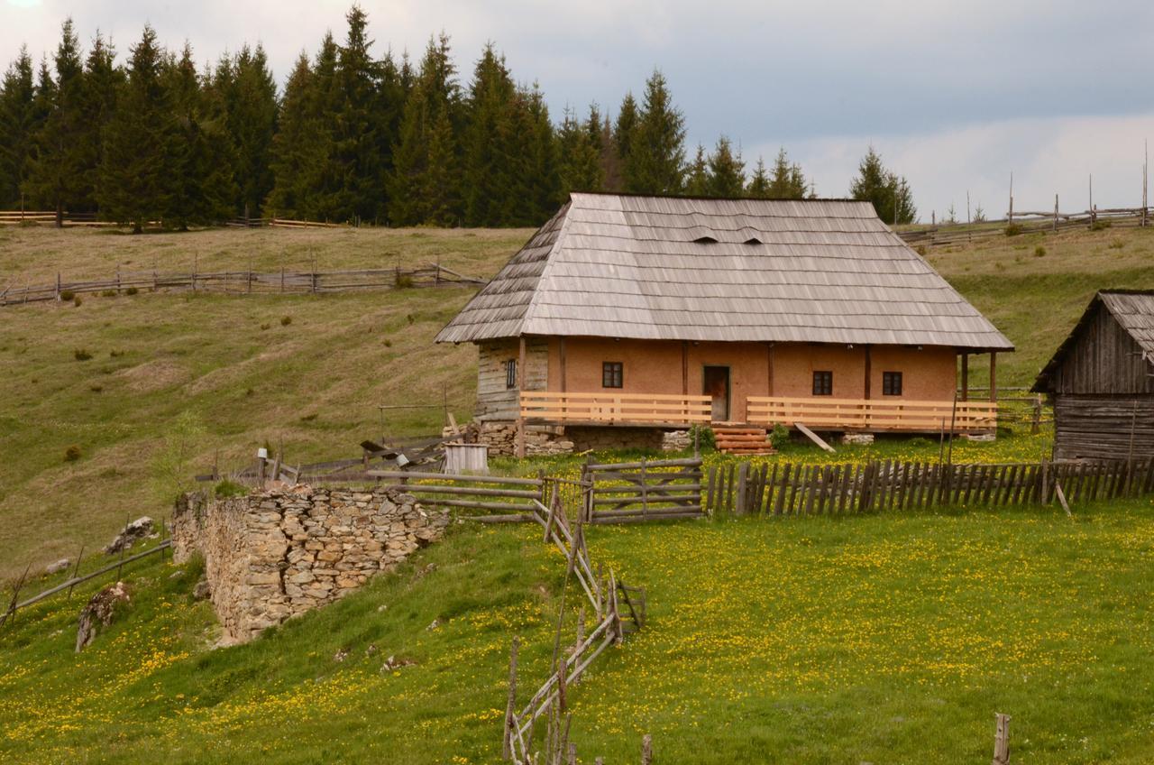 Casa Florea Poiana Stampei Zewnętrze zdjęcie