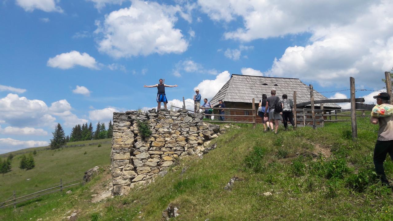 Casa Florea Poiana Stampei Zewnętrze zdjęcie
