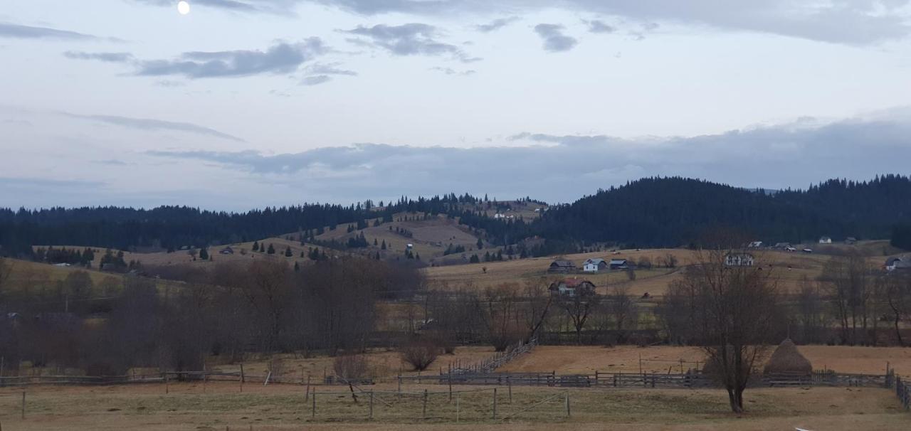 Casa Florea Poiana Stampei Zewnętrze zdjęcie